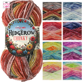 King Cole Hedgerow Chunky 200g - All Colours