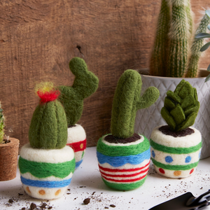 Simply Make - Needle Felting  - Cactus 4 pack