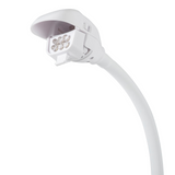 PURElite Multi-Use Magnifier and Table Lamp: White