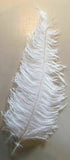 Large Ostrich Feathers 20-22" - ALL COLOURS