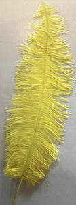 Large Ostrich Feathers 20-22" - ALL COLOURS