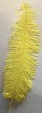 Large Ostrich Feathers 20-22" - ALL COLOURS