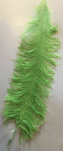 Large Ostrich Feathers 20-22" - ALL COLOURS