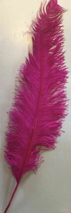 Large Ostrich Feathers 20-22" - ALL COLOURS