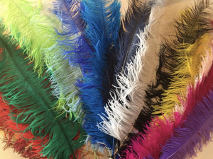 Large Ostrich Feathers 20-22" - ALL COLOURS