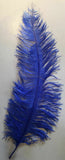 Large Ostrich Feathers 20-22" - ALL COLOURS