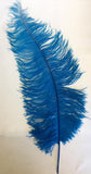 Large Ostrich Feathers 20-22" - ALL COLOURS