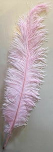 Large Ostrich Feathers 20-22" - ALL COLOURS