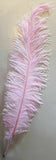 Large Ostrich Feathers 20-22" - ALL COLOURS