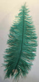 Large Ostrich Feathers 20-22" - ALL COLOURS