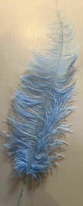 Large Ostrich Feathers 20-22" - ALL COLOURS