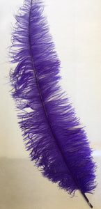 Large Ostrich Feathers 20-22" - ALL COLOURS