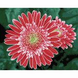 Diamond Dotz® Squares: Pink Gerberas - Dotting Painting Craft Kit