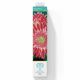 Diamond Dotz® Squares: Pink Gerberas - Dotting Painting Craft Kit