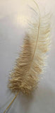 Large Ostrich Feathers 20-22" - ALL COLOURS