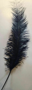 Large Ostrich Feathers 20-22" - ALL COLOURS