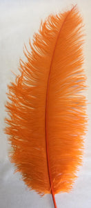 Large Ostrich Feathers 20-22" - ALL COLOURS