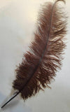 Large Ostrich Feathers 20-22" - ALL COLOURS