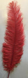 Large Ostrich Feathers 20-22" - ALL COLOURS