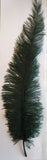 Large Ostrich Feathers 20-22" - ALL COLOURS