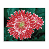 Diamond Dotz® Squares: Pink Gerberas - Dotting Painting Craft Kit